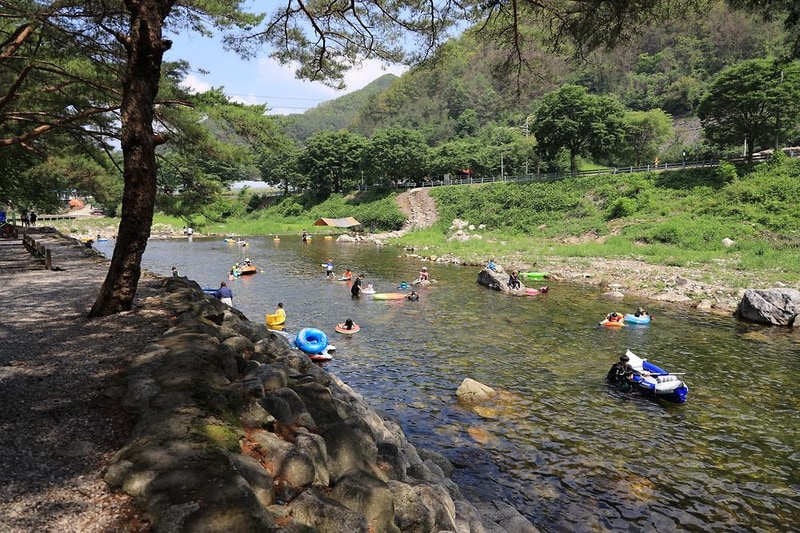내리계곡 솔바람 캠핑장 시설 사진 31