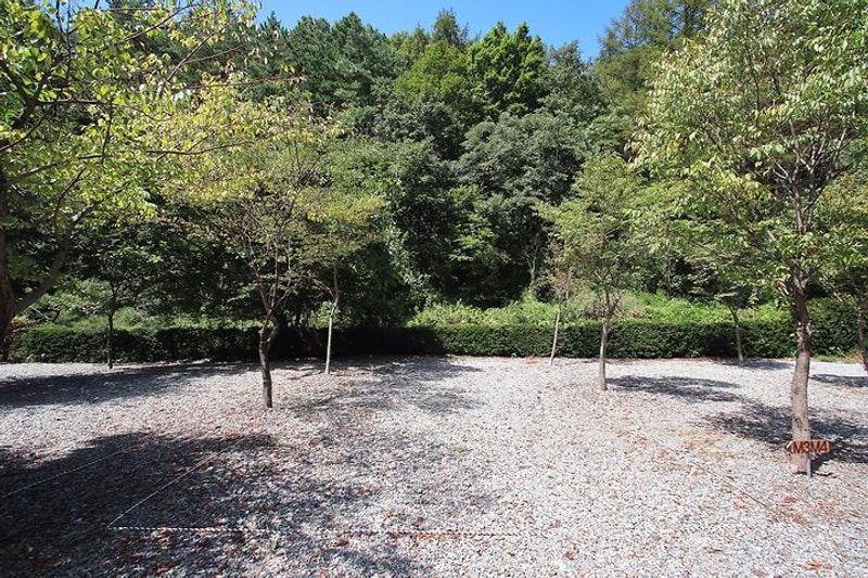 아빠의나무 야영장 대표 사진