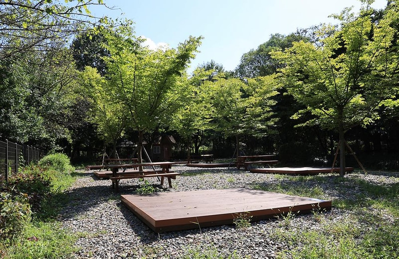 관악산 계곡 캠핑장 시설 사진 14