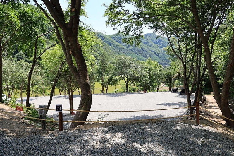 가평 쉼 캠핑장 시설 사진 18