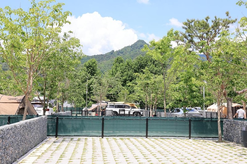 포레스트 시설 사진 14