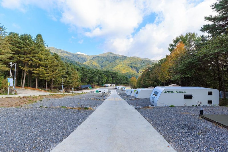 제천카라반 더그린 시설 사진 19