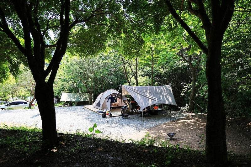 숲에서 놀자 시설 사진 2