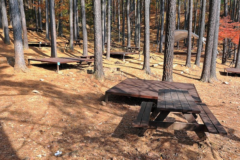 백운산 자연휴양림 자동차야영장 시설 사진 17