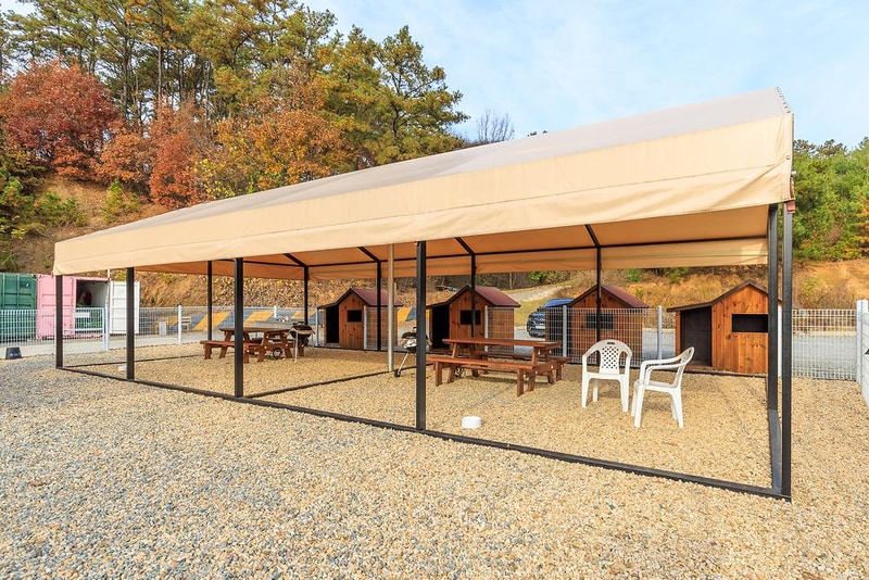 멍글멍글 펫글램핑 시설 사진 13