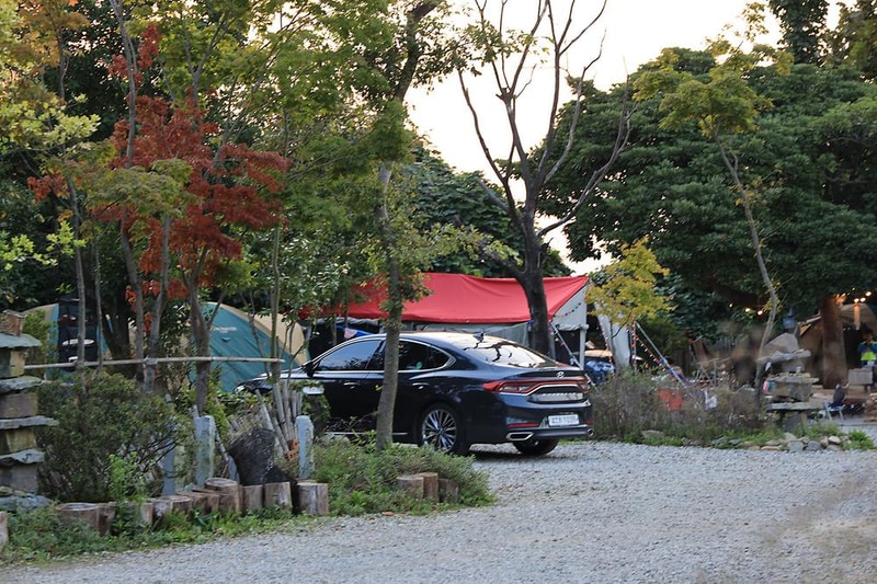 버드하우스 캠핑장 시설 사진 19