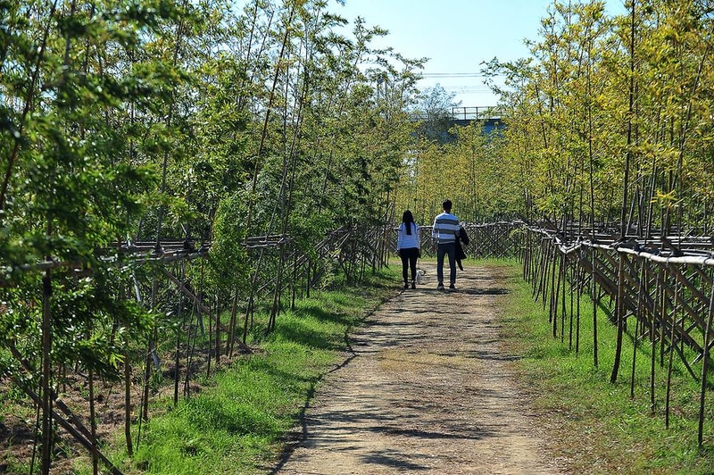 대저 캠핑장 시설 사진 1