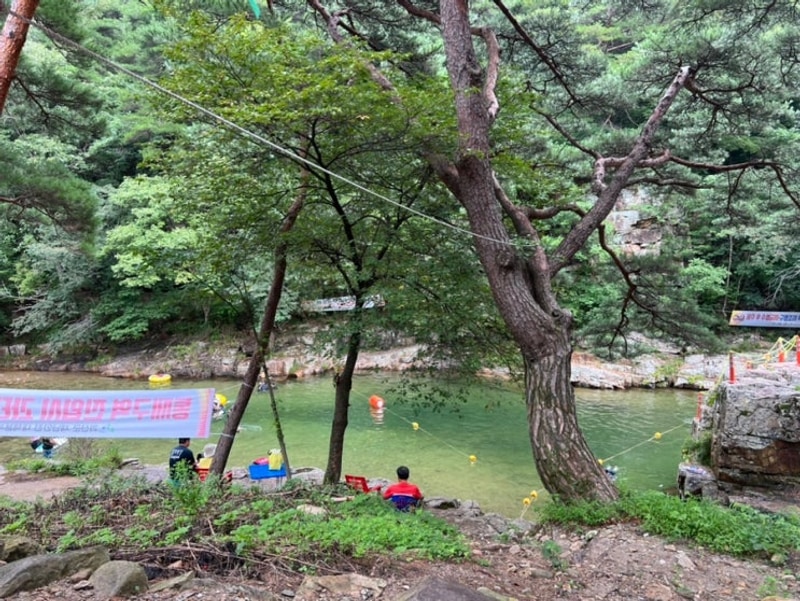 [괴산 쌍곡계곡] 솔밭캠프: 평상 대여 당일치기 후기 및 꿀팁
