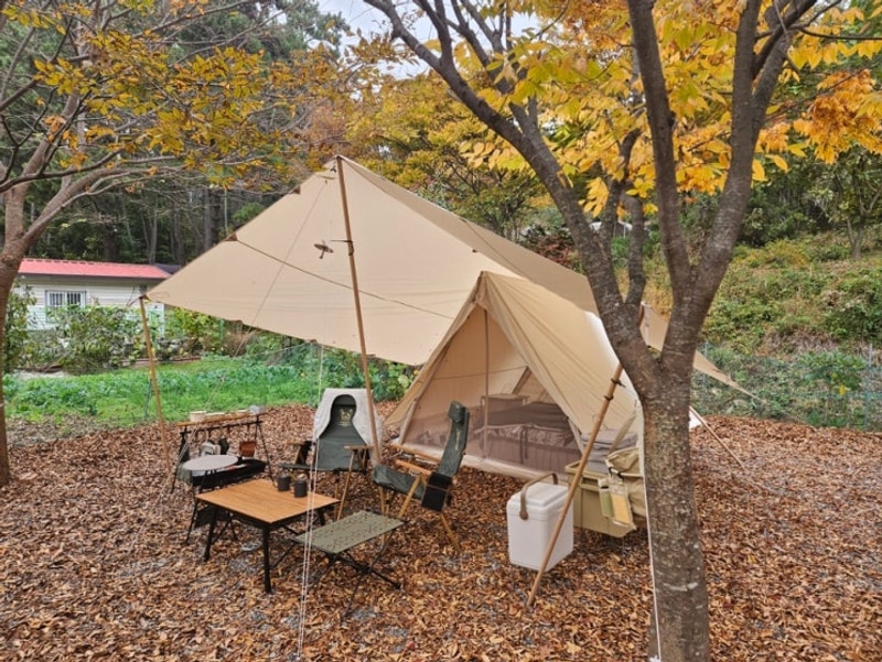 [충남 태안] 단풍이 예쁜 굼벵이캠핑장