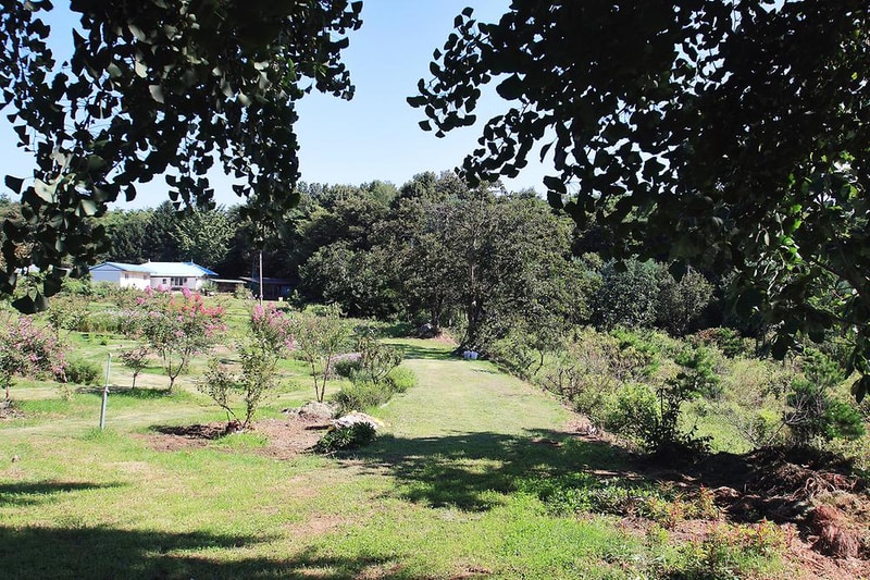 진경원민박캠핑장 시설 사진 8