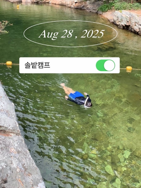 괴산 쌍곡 계곡 솔밭 캠프 평상 아쉬웠던 후기