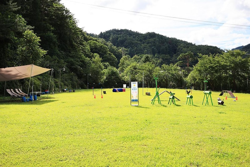 라이프위드도그 시설 사진 7