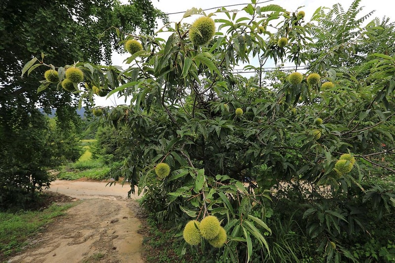 은행마을 시설 사진 3