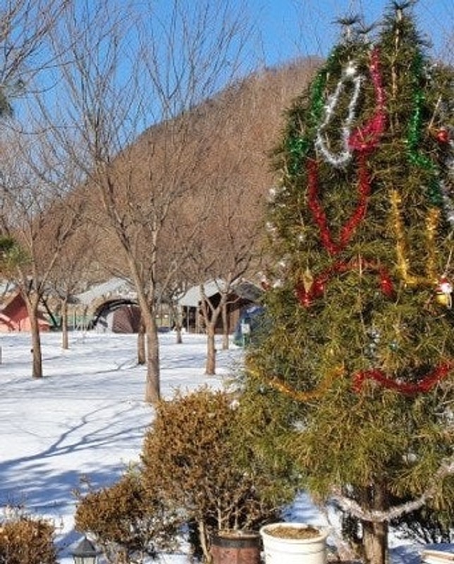 강원도 겨울 캠핑장 가볼만 한 곳, 영월 보보스캇 캠핑장 / 영월...