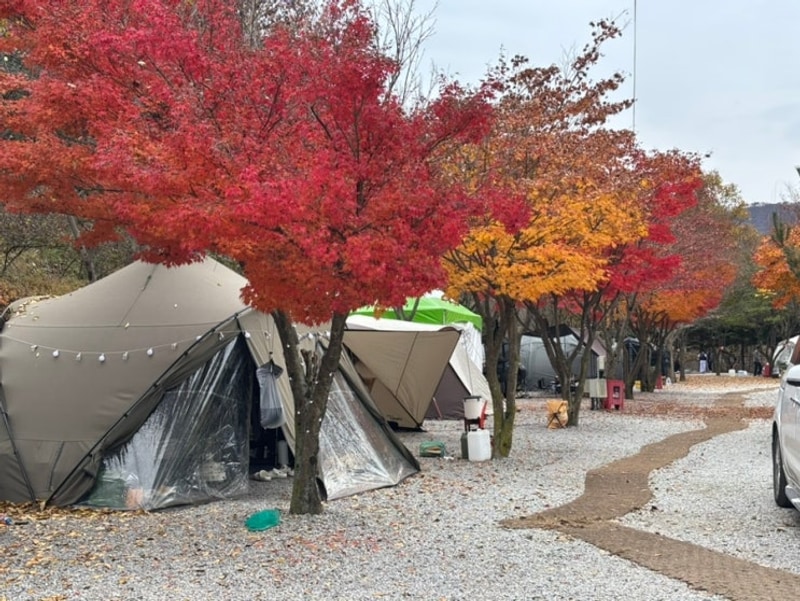 [춘천] 용화산 프라임캠핑장 그린존 5번 사이트 후기