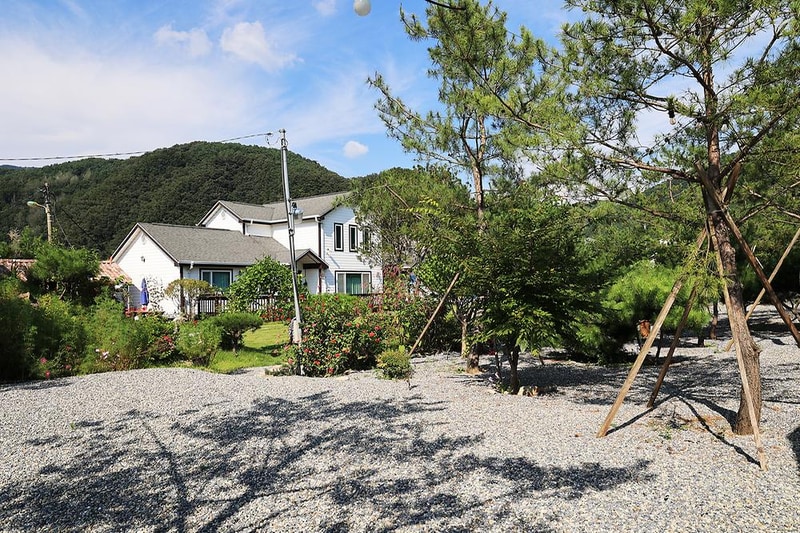 솔밭사이로 캠핑&펜션 시설 사진 6