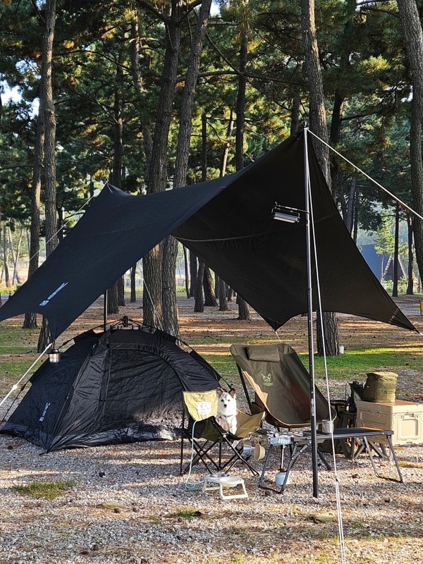 스물네번째 캠핑! 고창 구시포노을캠핑장에서⛺