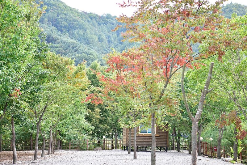 가평사계절캠핑장 시설 사진 9