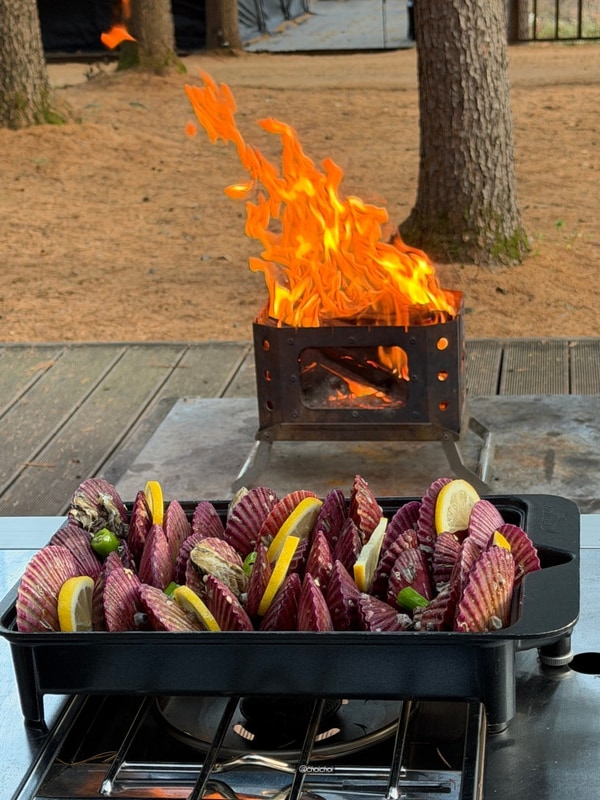 평창 휘게포레스트 캠핑장 후기(B2사이트)｜N번째 재방문한...