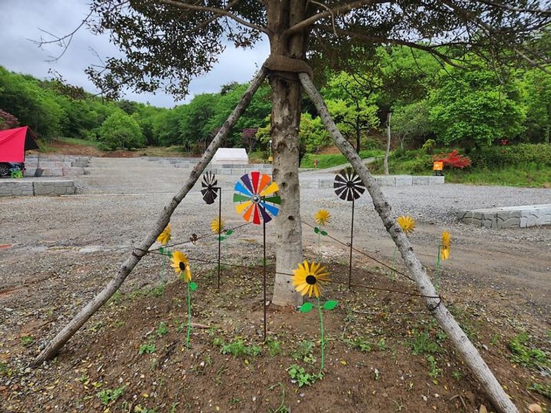 푸르미르 관광농원 대표 사진