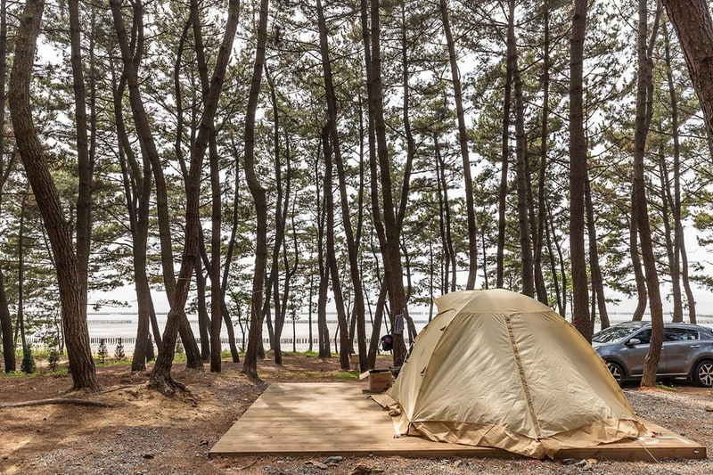 장항오토캠핑장 시설 사진 2
