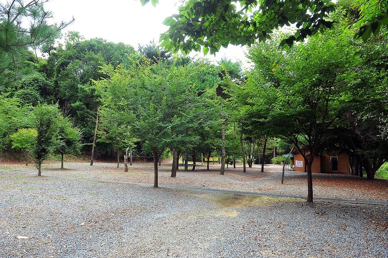 계곡과소나무 캠핑장 시설 사진 6