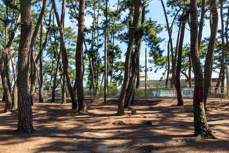 송림오토캠핑장 시설 사진 5