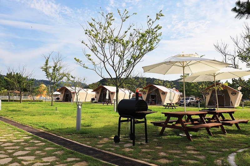 고창갯벌오토캠핑&글램핑장 시설 사진 8