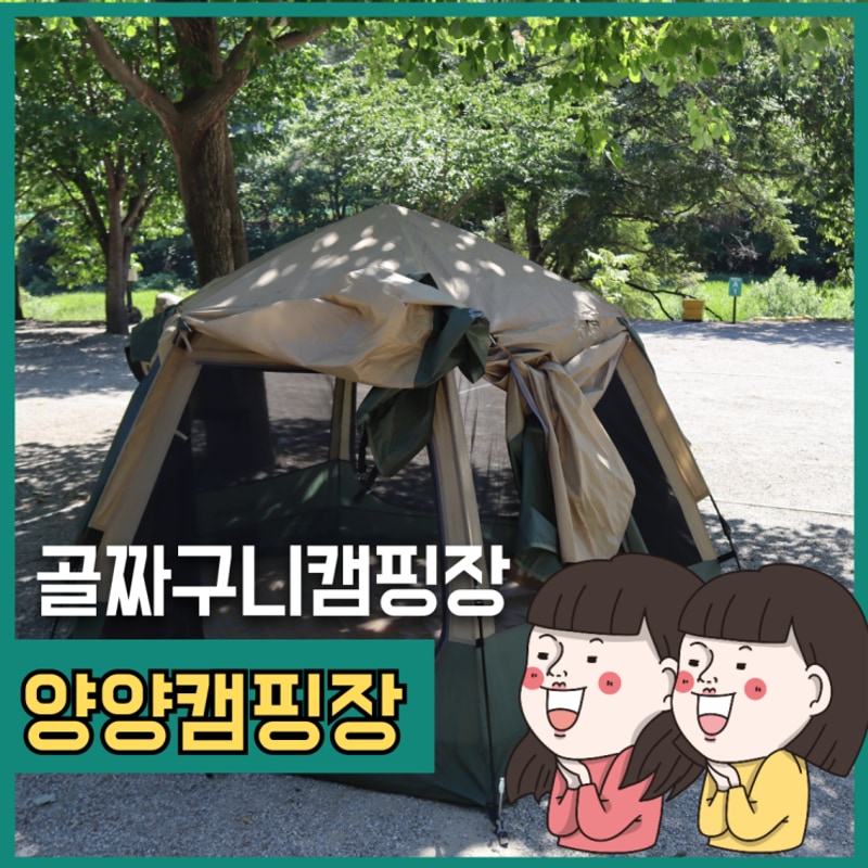 강원도캠핑장 양양 골짜구니캠핑장 애견 동반OK, 계곡O