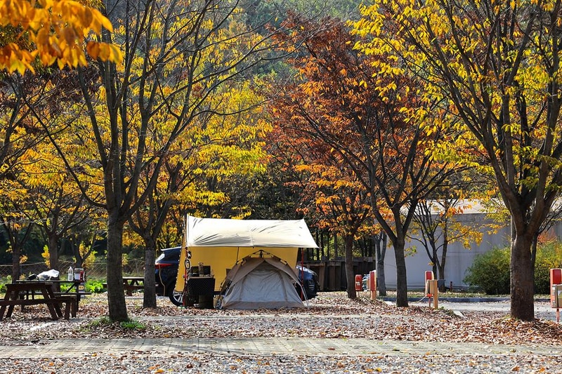 안성맞춤 캠핑장 시설 사진 13