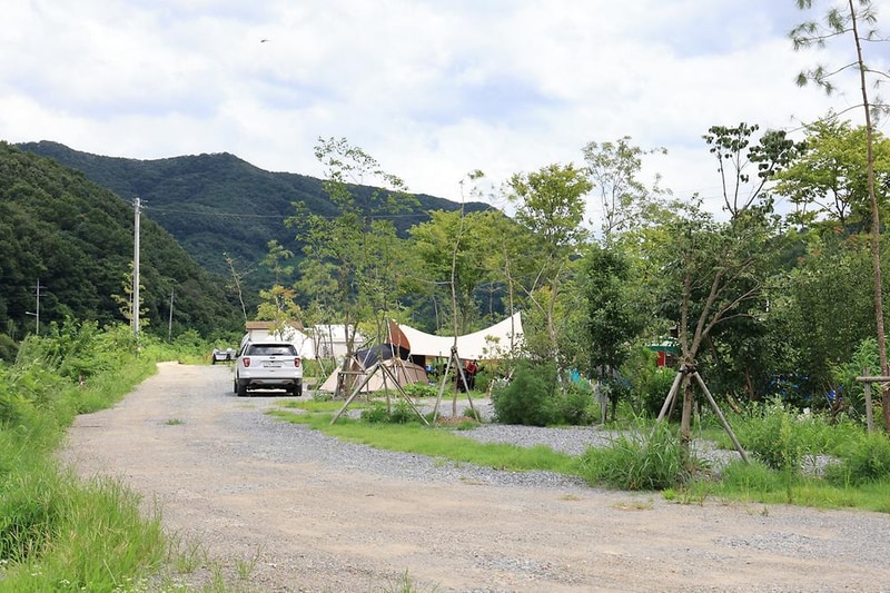 파주 천지연캠핑장 시설 사진 11