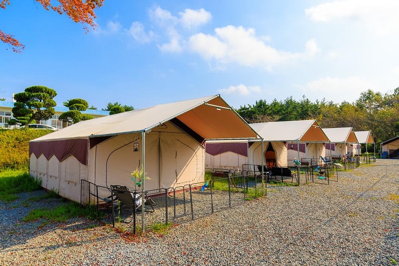 펫앤트리 시설 사진 19