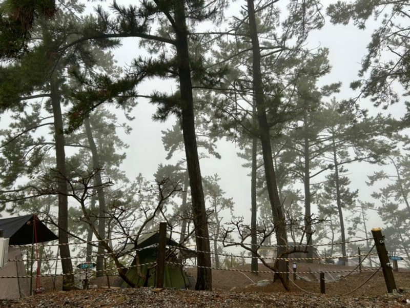 태안둘레길캠핑장 G2 사이트 캠핑, 몽산포해수욕장 맛조개체험...