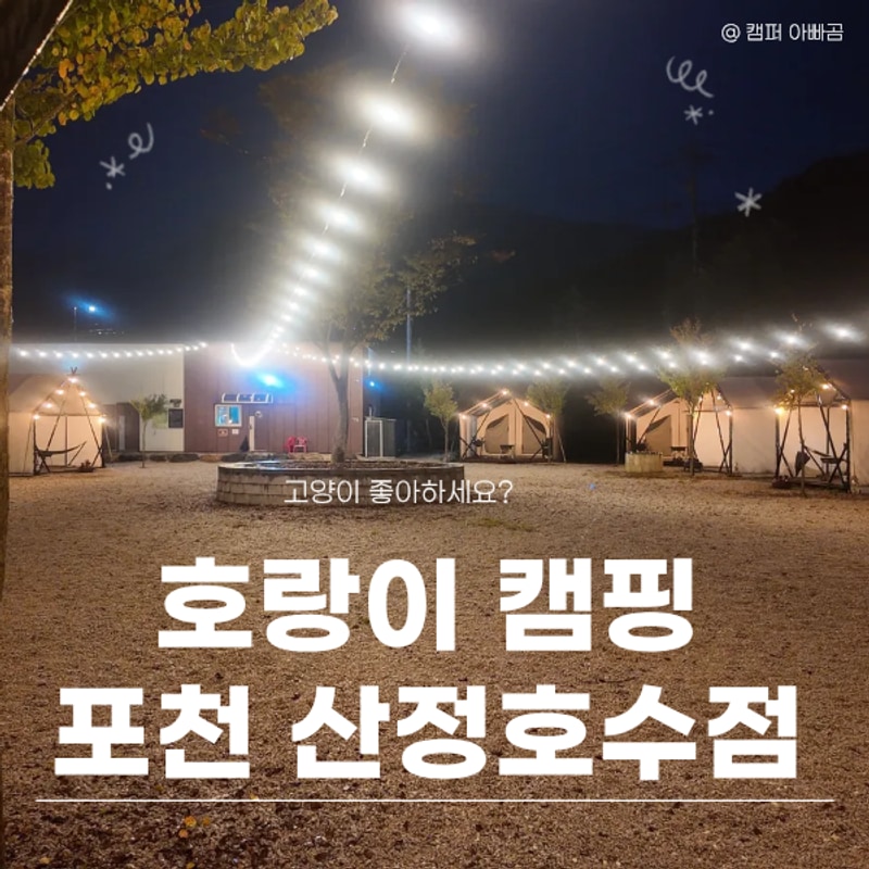 호랑이캠핑 산정호수점, 고양이 카페 같은 포천캠핑장