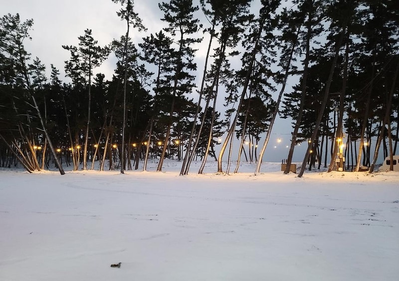 태안노을숲캠핑장 시설 사진 14