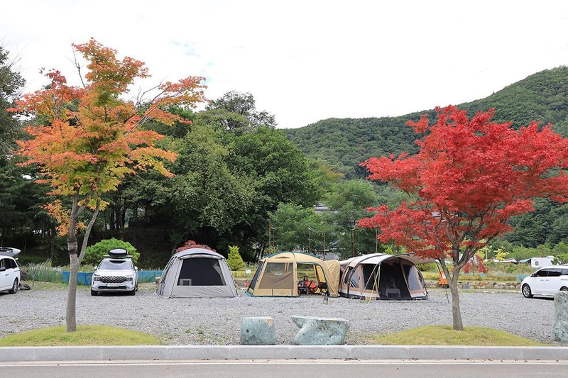 태백 눈꽃 야영장 시설 사진 17