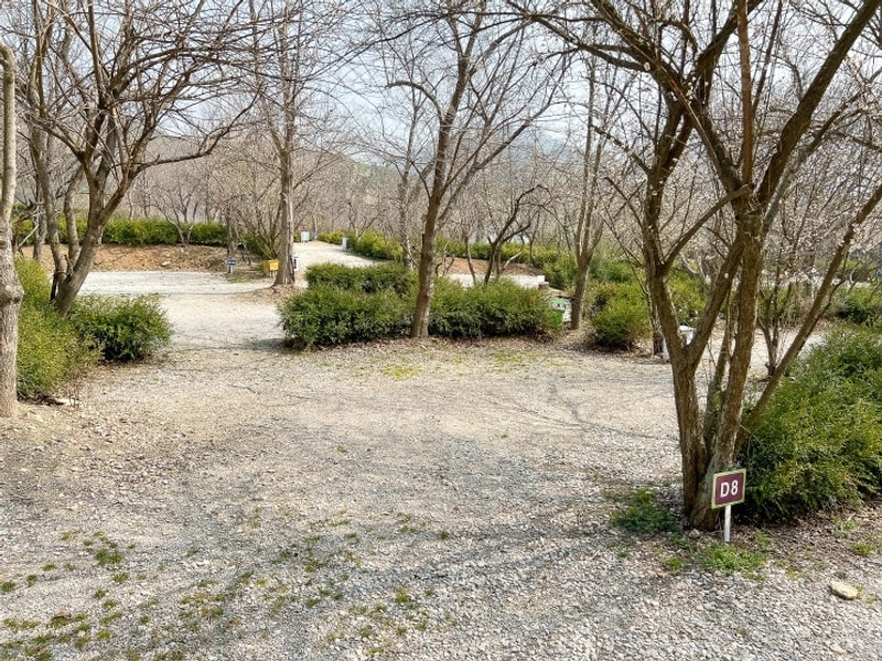 전북 부안 장박,애견동반 가능한 캠핑장 "내소힐링캠프" D8...