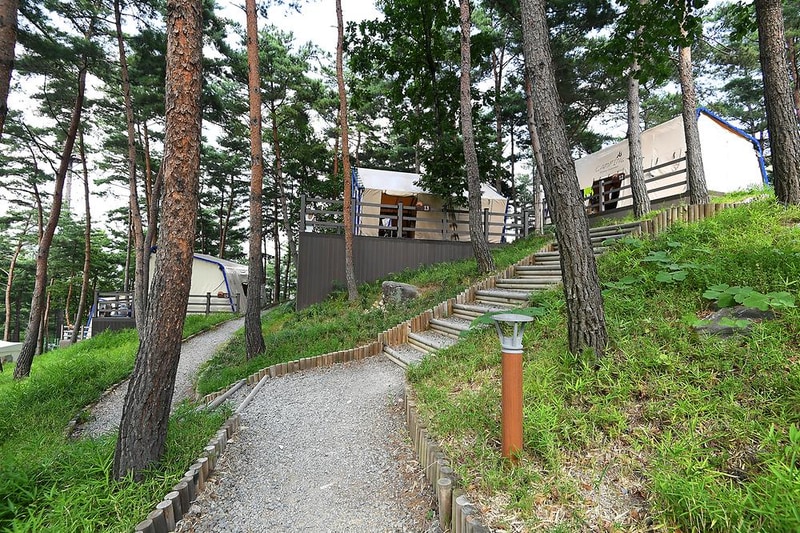 한방자연휴양림 시설 사진 8