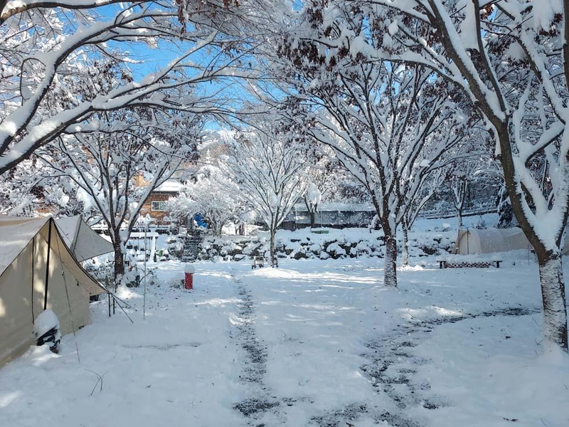 횡성산울림오토캠핑장 시설 사진 36