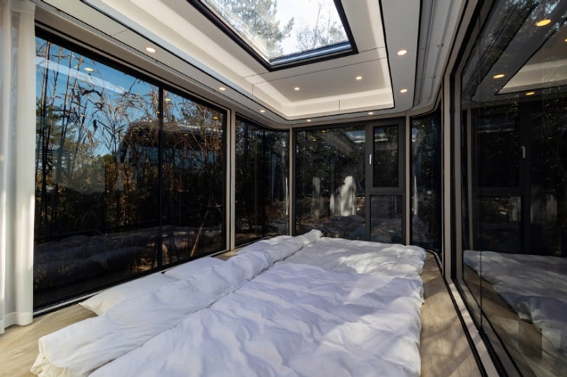 피톤치드 전남카라반 우주선캠프 자연과 함께한 힐링 경험