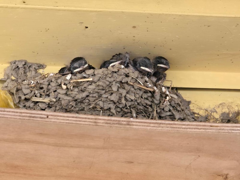 내안에 쉼 캠핑파크 시설 사진 1