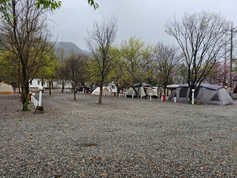 캠핑:: 가평사계절캠핑장(4월 19일 ~4월 20일)