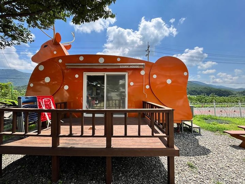 청도 원더랜드 대표 사진