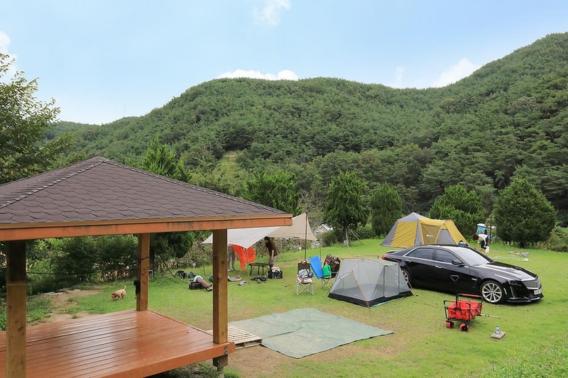 트리독스 애견전용캠핑장 시설 사진 8