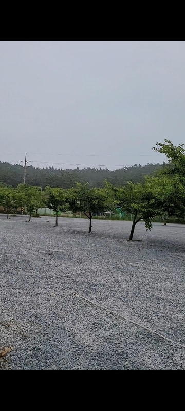 구름포해변캠핑장 시설 사진 1