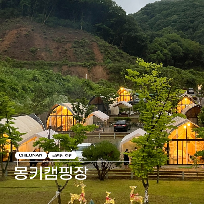 천안 아산 글램핑장 몽키캠핑장 회사 워크샵 추천 비오는날...