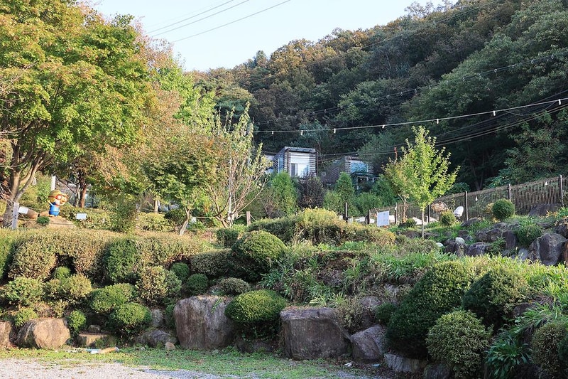 펫밀리애견파크타운 시설 사진 13