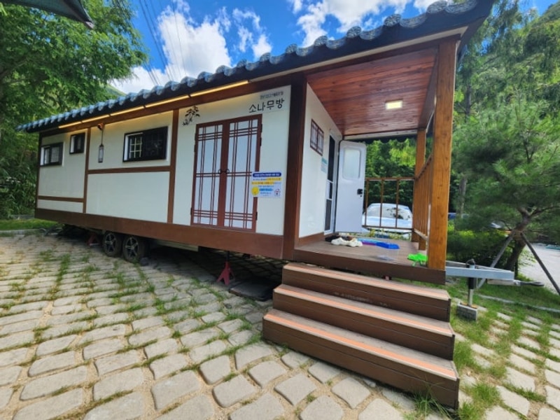 대구 수성구 캠핑장  진밭골야영장 계곡물놀이