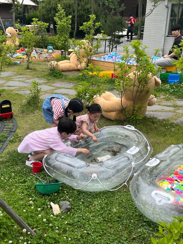 서천 해양 스카이 글램핑 풀빌라 솔바람 캠핑장 파크오브드림