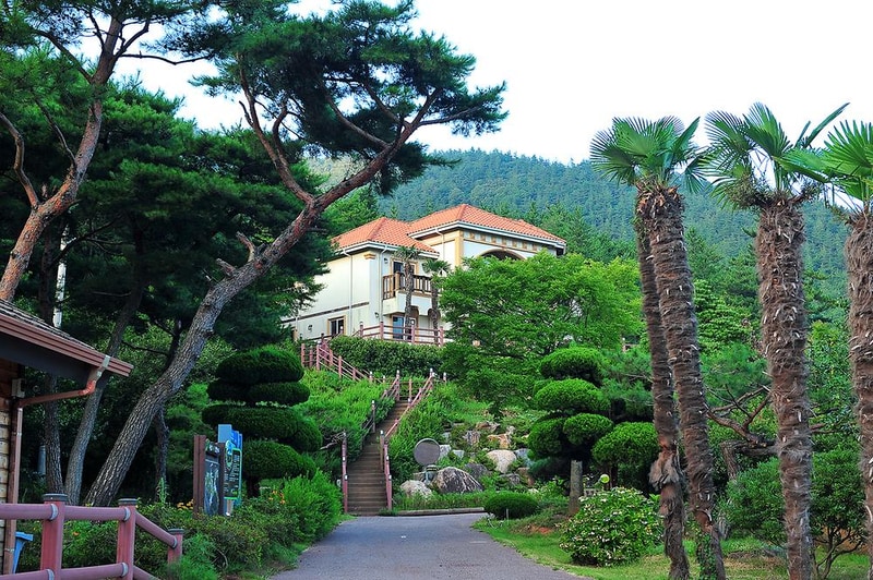 하늘빛수목원 시설 사진 8